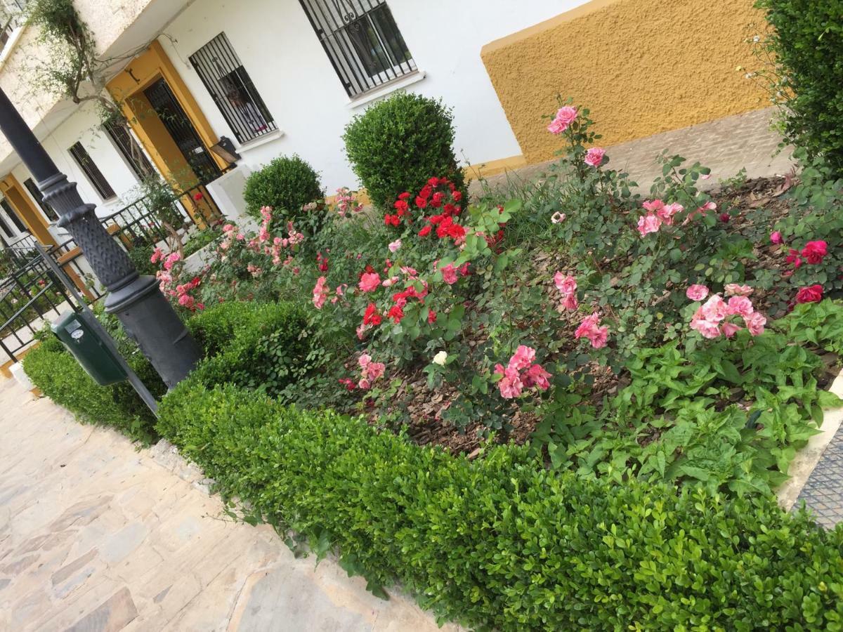 Panoramic City Center Flat In Arroyo De La Miel Daire Dış mekan fotoğraf